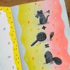 Animals + Arithmetic 