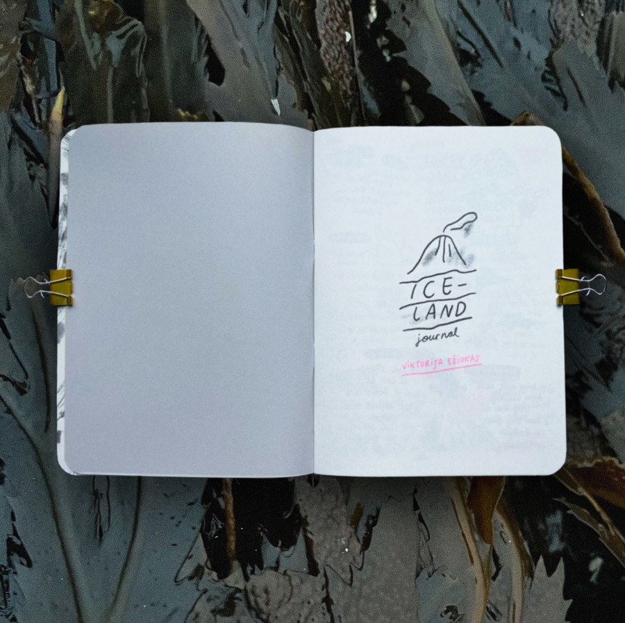 Iceland Journal // riso printed zine