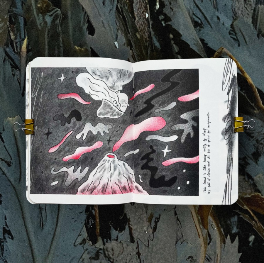 Iceland Journal // riso printed zine